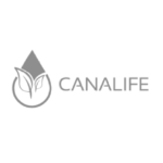 Mesa de trabajo 2 copia 2