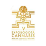 Mesa de trabajo 2 copia 5